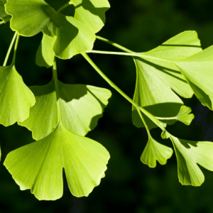 Cámaras climáticas de precisión en farmacéutica