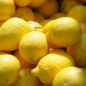 camara-cultivo-citricos-limon-1-Canva