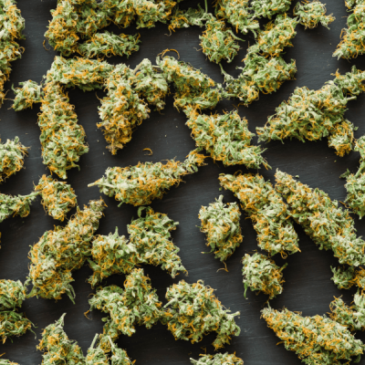 (Cannabis 3 Canva Pro)(600)